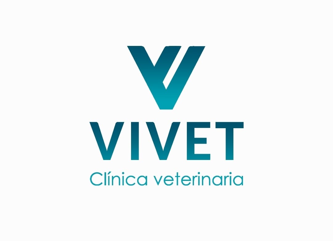 VIVET CENTRO VETERINARIO